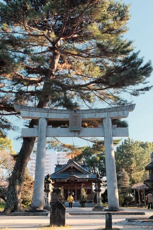 壱岐神社の拝殿すぐの鳥居