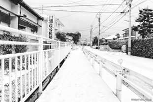 雪の賀茂神社前の通り
