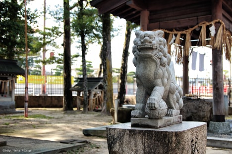 賀茂神社　狛犬